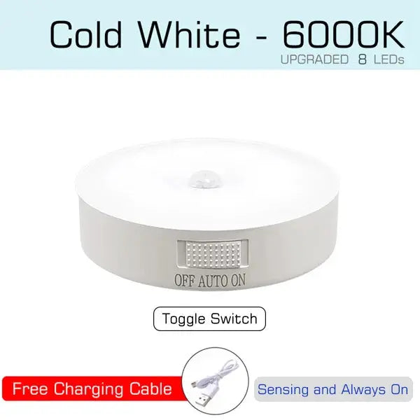 Motion Sensor USB Rechargeable LED Light My Store
