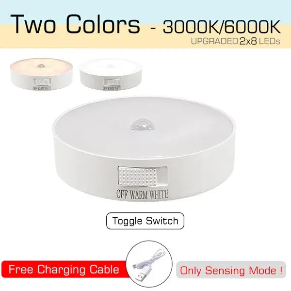 Motion Sensor USB Rechargeable LED Light My Store