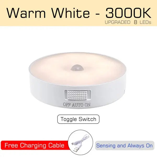 Motion Sensor USB Rechargeable LED Light My Store