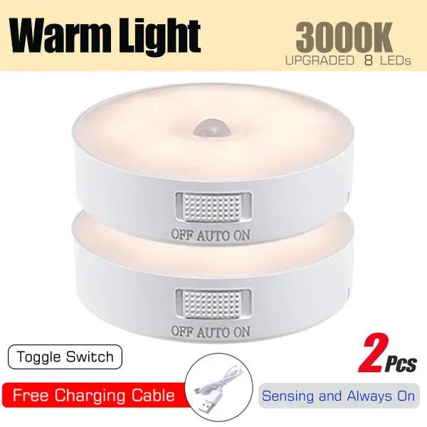 Motion Sensor USB Rechargeable LED Light My Store
