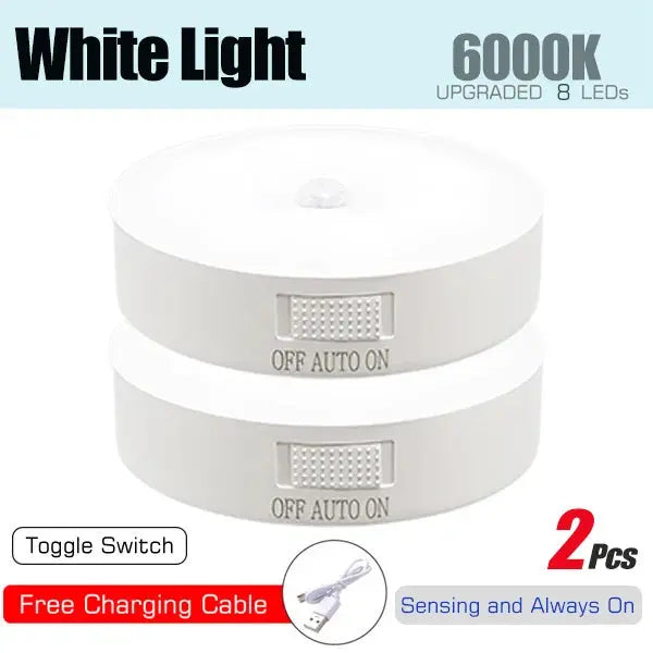 Motion Sensor USB Rechargeable LED Light My Store